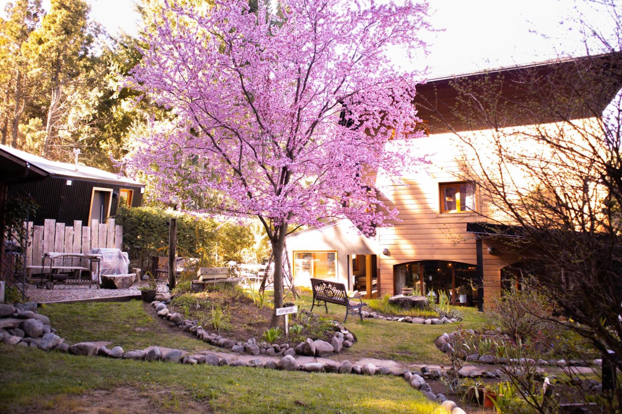 Le Bouquet Apart Hotel San Carlos de Bariloche Luaran gambar